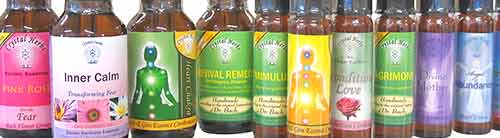 Flower Essence Shop