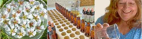 Handmade Flower Essences
