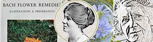 Montage - Nora Weeks Book, Nora Weeks, Mount Vernon house, a young Nora Weeks, Chicory in a bowl & inside Dr Bachs house