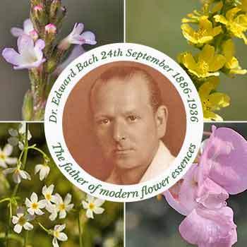 Dr Edward Bach with vervain, agrimny, impatiens & water vile flowers in the background