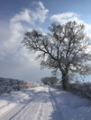 Snowy Road