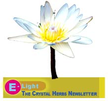 E-Light - The Crystal Herbs Newsletter