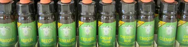 Bach Flower Remedies - Wholesale Bach Flower Remedies - Wholesale