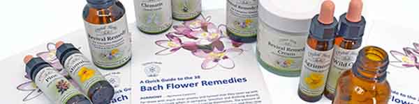 Bach Flower Remedies - bottles and leaflet.