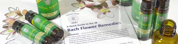 Bach Flower Remedies