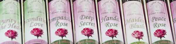Rose Essence Set