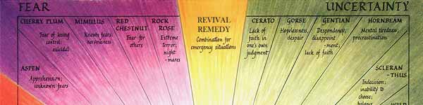 Bach Seven Groups Poster Bach Seven Groups Poster