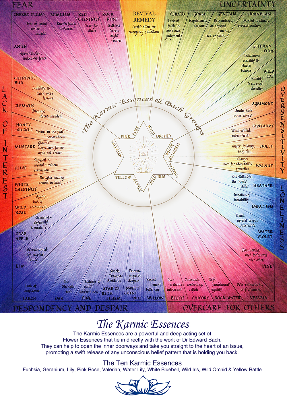 Flower Essence Chart