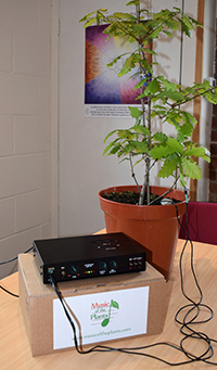 U1 Device and Oak Tree