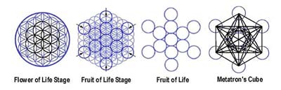 Metatrons Cube & Process