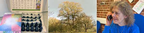 Montage image: set of Crystal Herbs Bach Flower Remedies, a beautiful tree in winter sunlight and Catherine Keattch on the phone