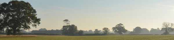 Beautiful fields and trees