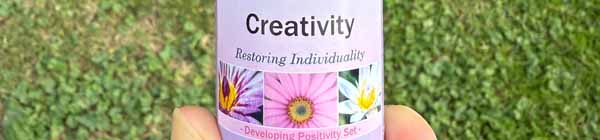 Picture of a bottle of Creativity Essence