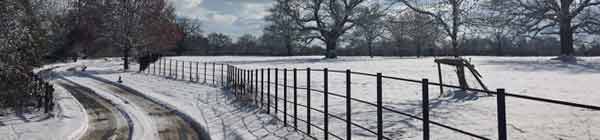 The driveway to Crystal Herbs in the snow