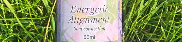 The Energetic Alignment Essence Spray A bottle of Energetic Alignment Essence spray lying in the grass