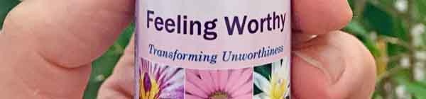 Feeling Worthy from the Core Emotions Set A bottle of Feeling Worthy Essence held in a hand