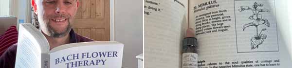 Picture of Sam Cremnitz reading a copy of Bach Flower Therapy by Mechthild Schaeffer and the insdie of the book looking at Mimulus with a bottle of Mimulus Bach Remedy