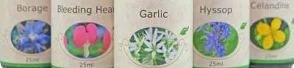 New Flower Essence Labels New Flower Essence Labels - Close Up of Labels