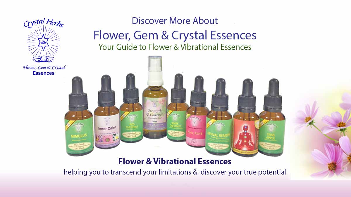 How Do Flower Essences Work On The Subtle Energy Systems Best Flower Site