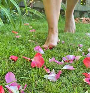 Grounding - Running through Rose Petals