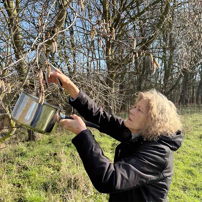 A picture of Catherine Keattch from Crystal Herbs holding a saucepan in nature making an Aspen mother essence