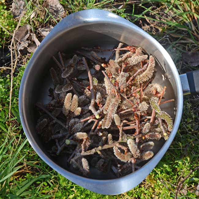 Aspen flowers in a saucepan - part of the boiling method making process