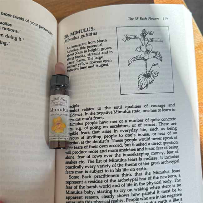 A bottle of Mimulus Bach Flower Remedy in an open copy of the book Bach Flower Therapy