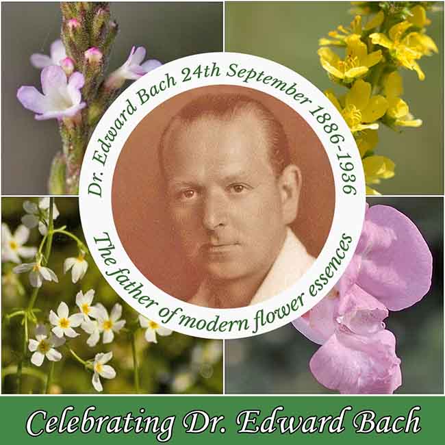 Montage Image - Dr Edward Bach centre, with Vervain, Agrimony, Impatiens and Water Violet images around the outside.
