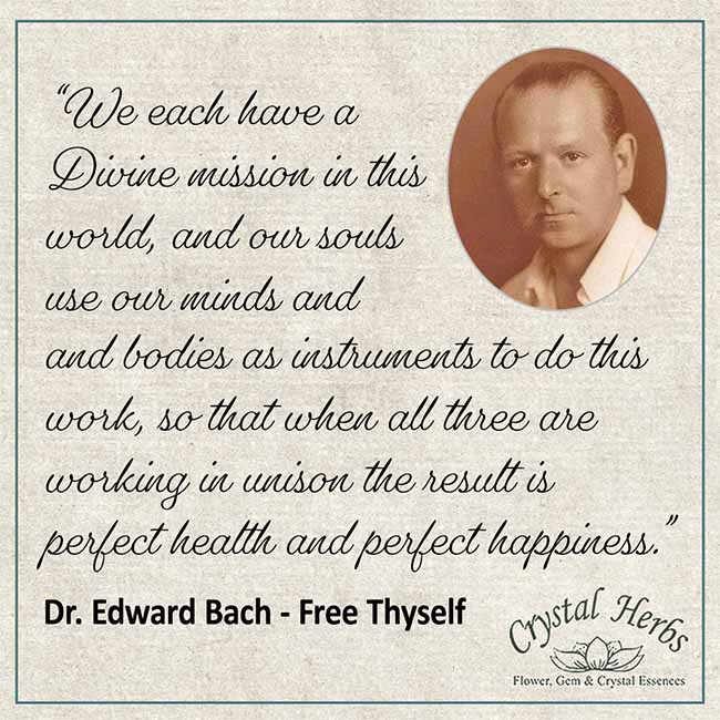 A quote from Dr Edward Bach with a picture of Edward Bach
