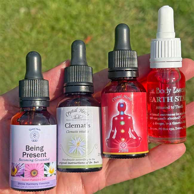 Four flower essences for grounding being held in a persons hand