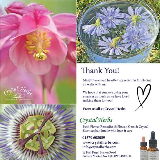 Another montage of some of our new parcel cards
