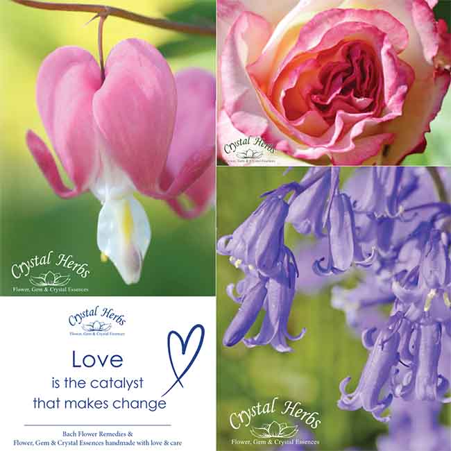 Montage of some of our new parcel cards
