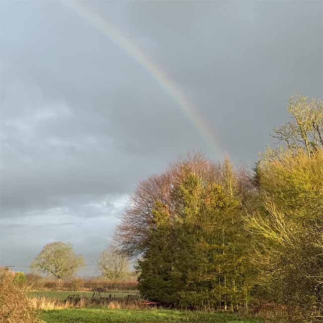 A rainbow over trees outside our front door here at Crystal Herbs