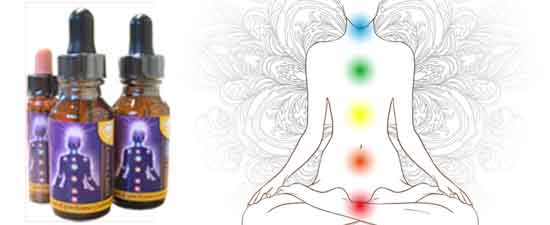 Crown Chakra bottles with a chakra layout image