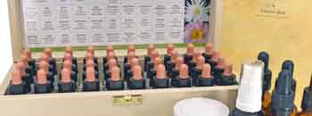 10ml Bach Flower Remedy Sets 10ml Bach Flower Remedy Sets