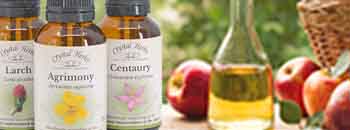 Bach Flower Remedies in Apple Cider Vinegar