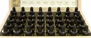 25ml Bach Flower Remedy Sets