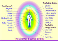 Human Energy System