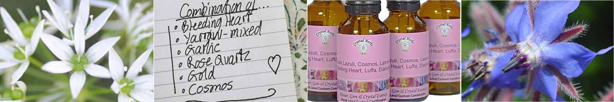 Custom Combination Montage: Garlic flowers, a list of flower and crystal essences, custom flower and crystal essence combination bottles and a picture of a Borage flower