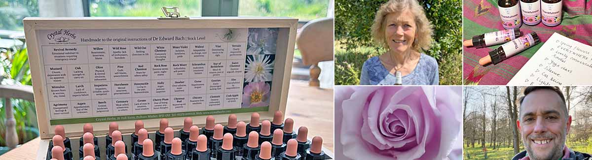 Montage image: Bach Flower Remedy Set on a kitchen table, Catherine Keattch from Crystal Herbs, Divine Harmony Essences around a journal, a Blue Moon rose and Sam Cremnitz from Crystal Herbs