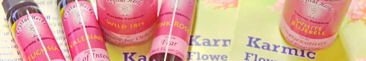Karmic Flower Essence Bottles in a row 10ml size