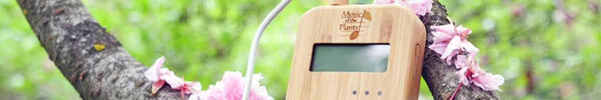 Bamboo Music of the Plants device on a branch with flowers playing music