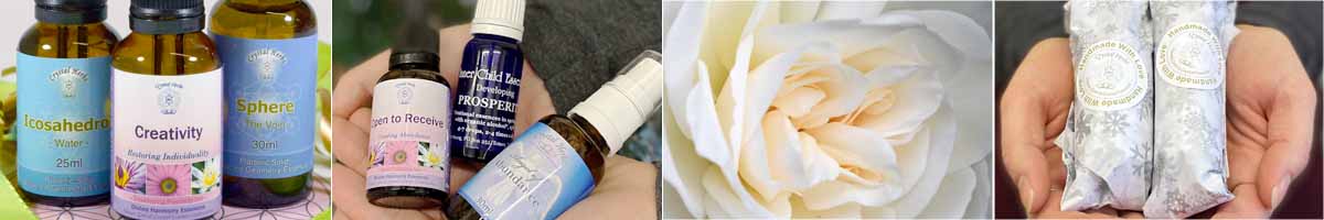 Seasonal Gifts Montage: Creativity Essences bundle, Abundance Essence bundle held in a hand, a Iceberg Rose and wrapped bottles held in a hand
