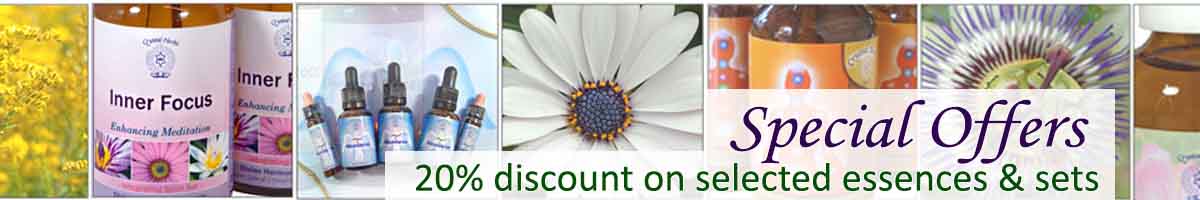 Flower Essences, bottles and flowers - special offers 20% discount