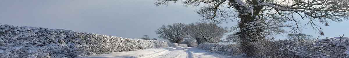 Winter Scenes