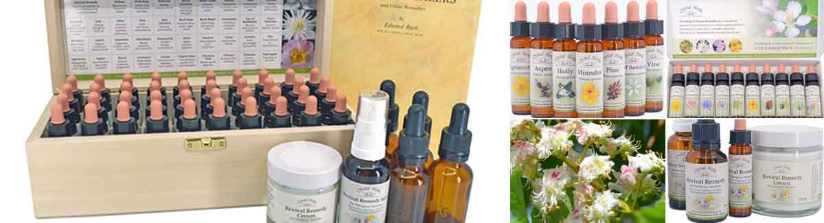 Our Bach Flower Remedies