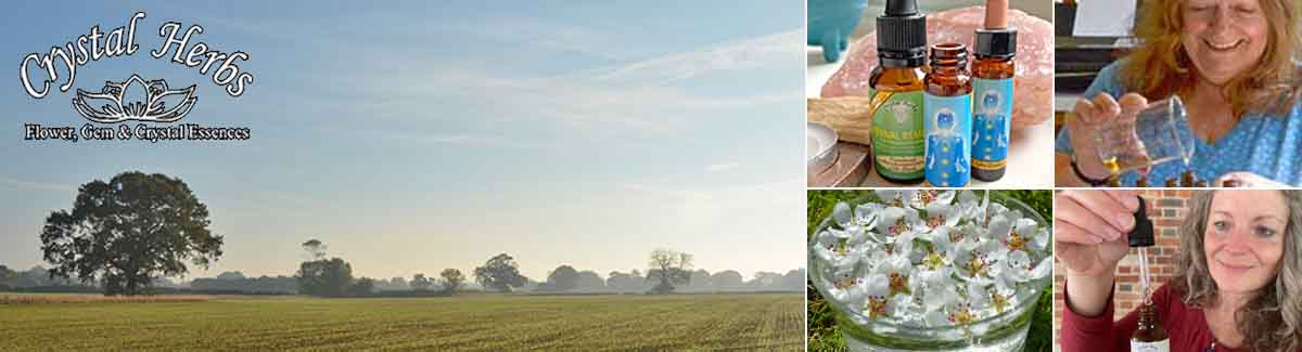 Crystal Herbs - About Us & Meet the Team Crystal Herbs - About Us & Meet the Team