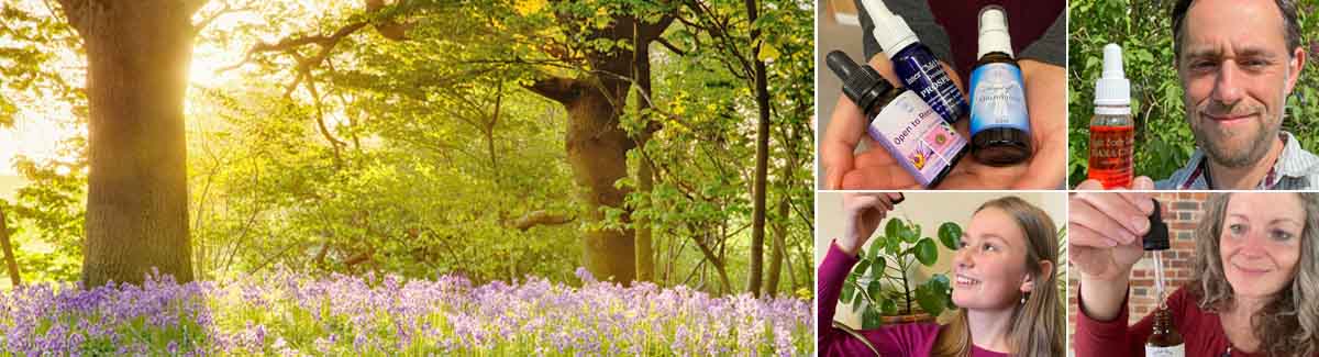 Crystal Herbs - Your Flower Essence Shop & Resource Crystal Herbs - Your Flower Essence Shop & Resource