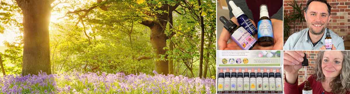 Crystal Herbs - Your Flower Essence Shop & Resource Crystal Herbs - Your Flower Essence Shop & Resource