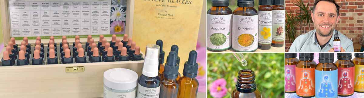 Product Photos Bach Flower Remedy Set, Dandelion flower essence bottles, Sam Cremnitz, dropper bottle and chakra essence bottles